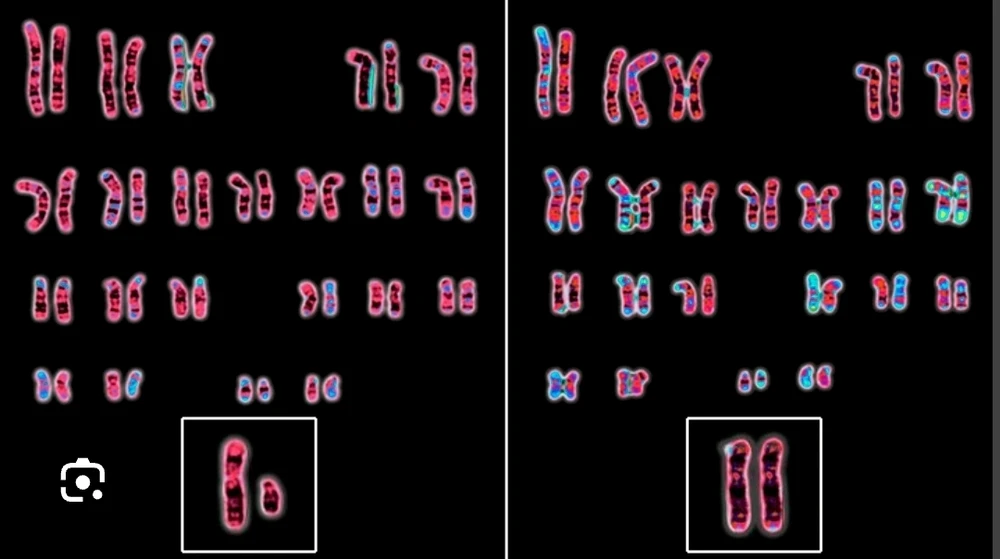 Image uploaded by Anahi