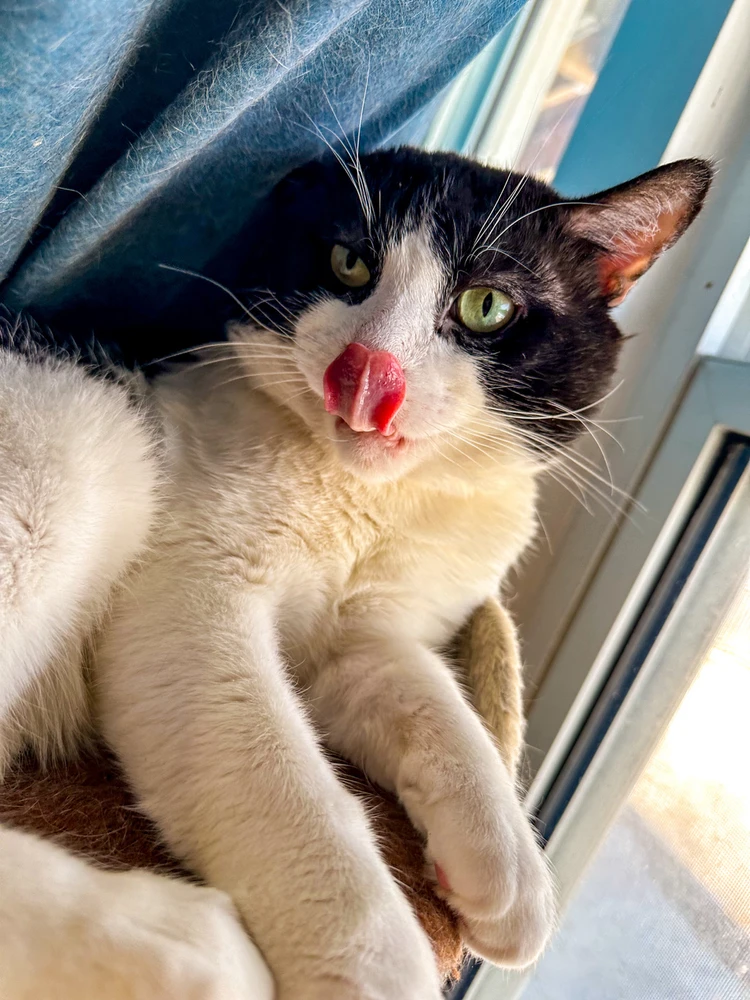 Image uploaded by Riven