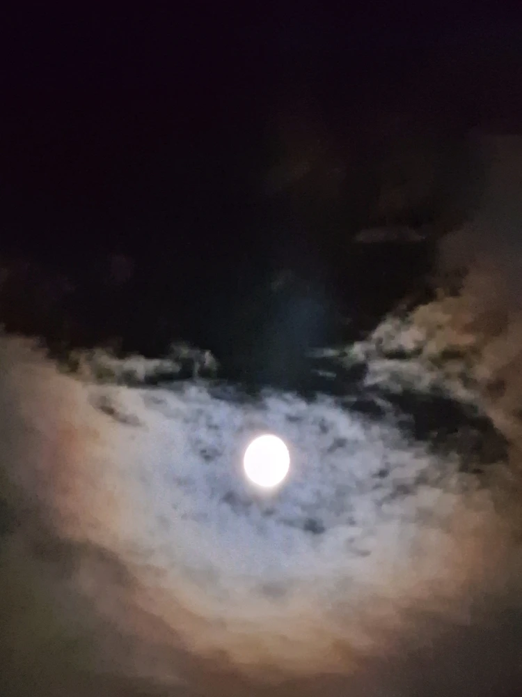 Image uploaded by Tor Helge