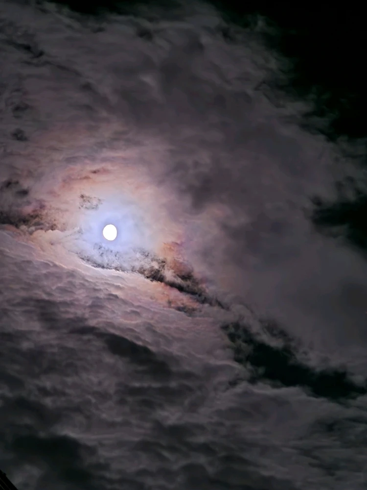 Image uploaded by Tor Helge