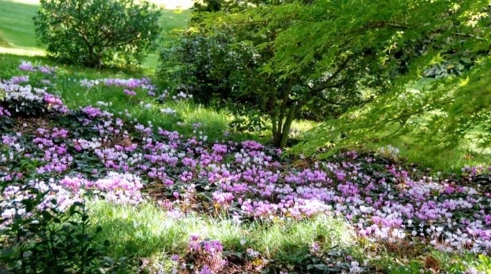 Image ajoutée par Lili