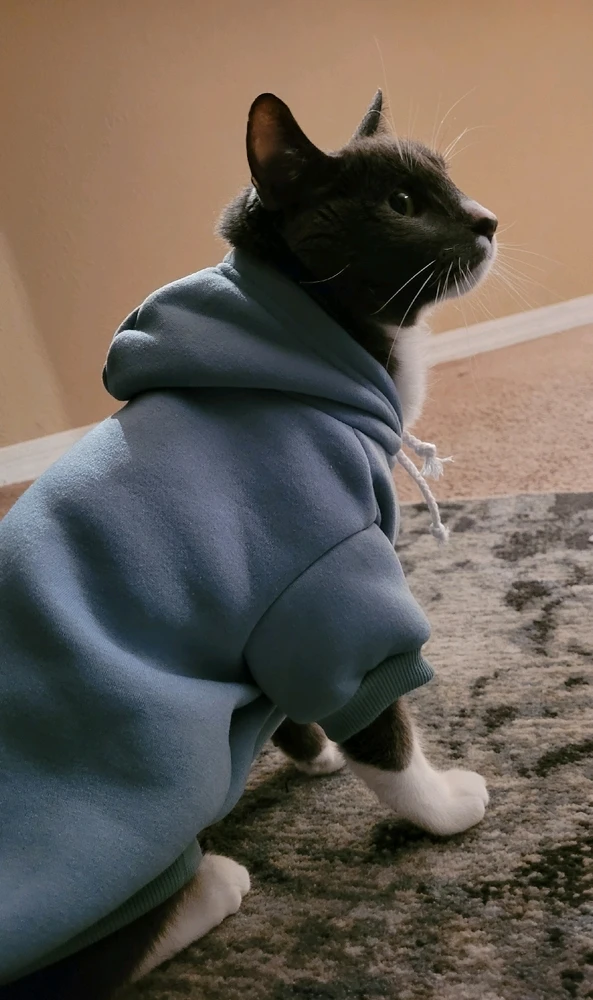 Image uploaded by Queen