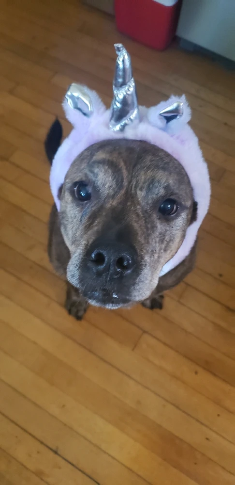 Image uploaded by Tiena