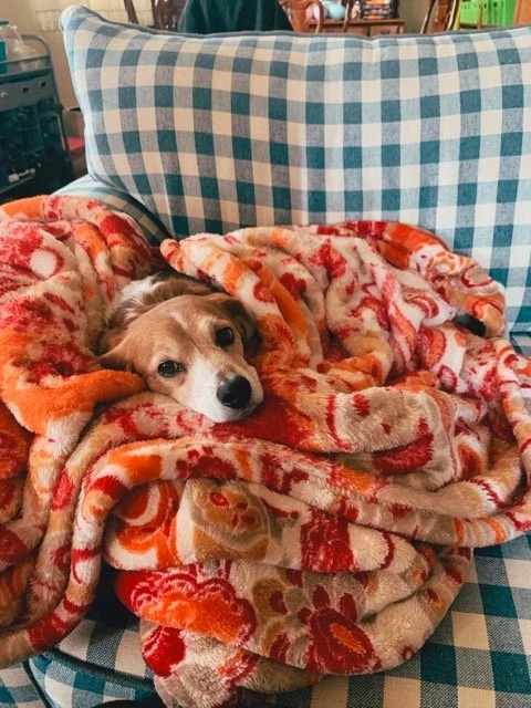 Image uploaded by Frank Toth