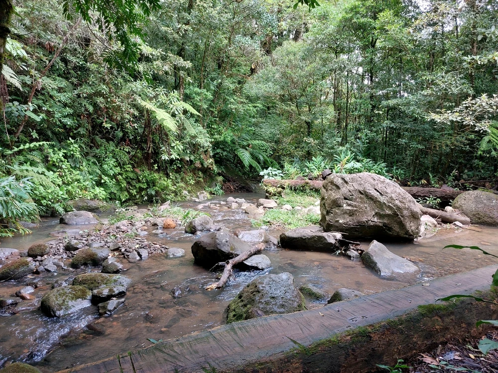 Image uploaded by Andy