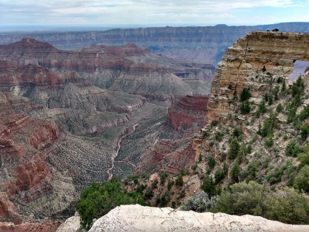 Image uploaded by Taylor