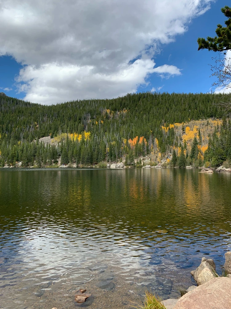 Image uploaded by Kelsey