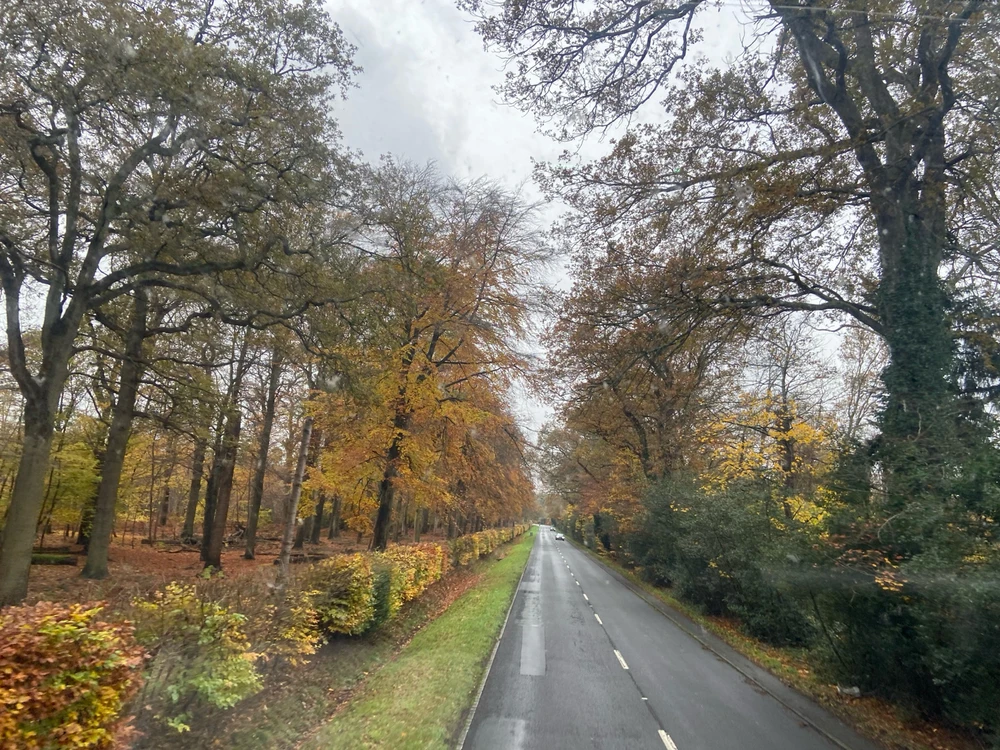 Image uploaded by Jay