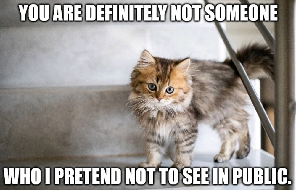 Image uploaded by Lu