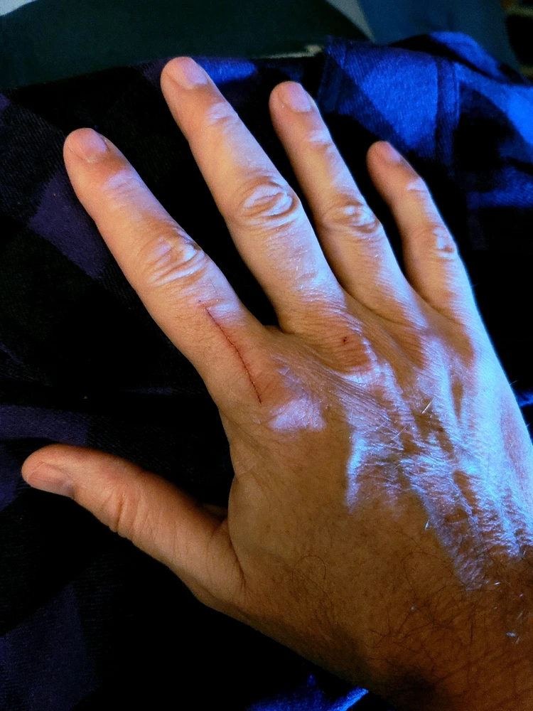 Image uploaded by Tim