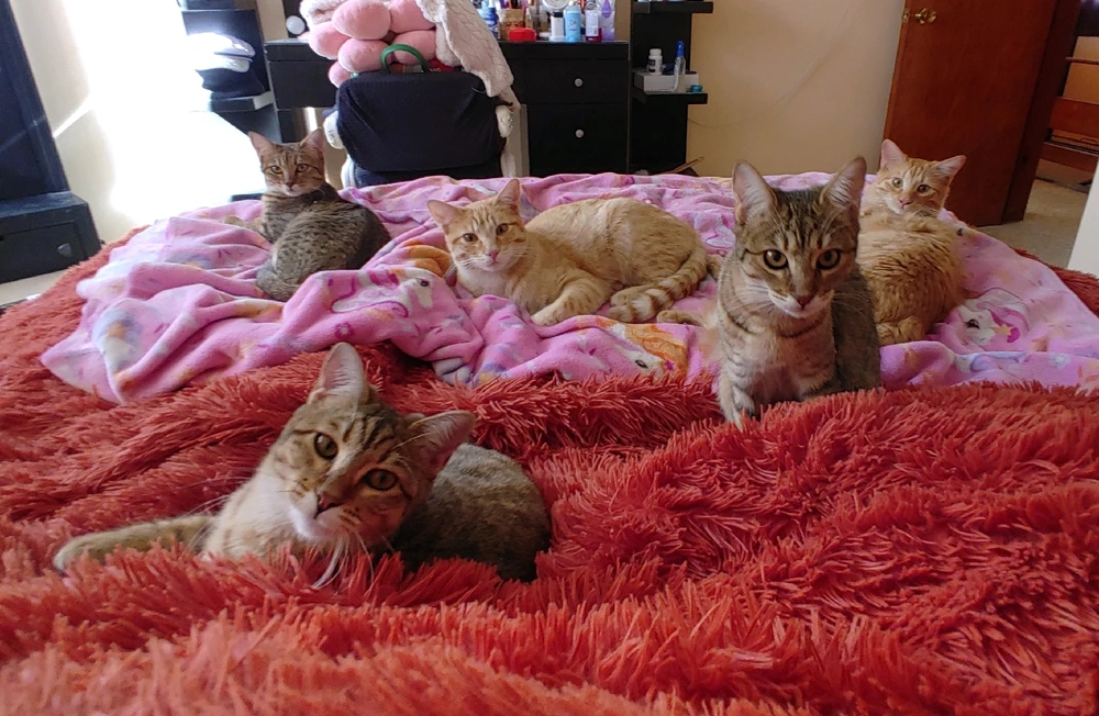 Image uploaded by ❤ Sophia aka Mango Mami ❤️