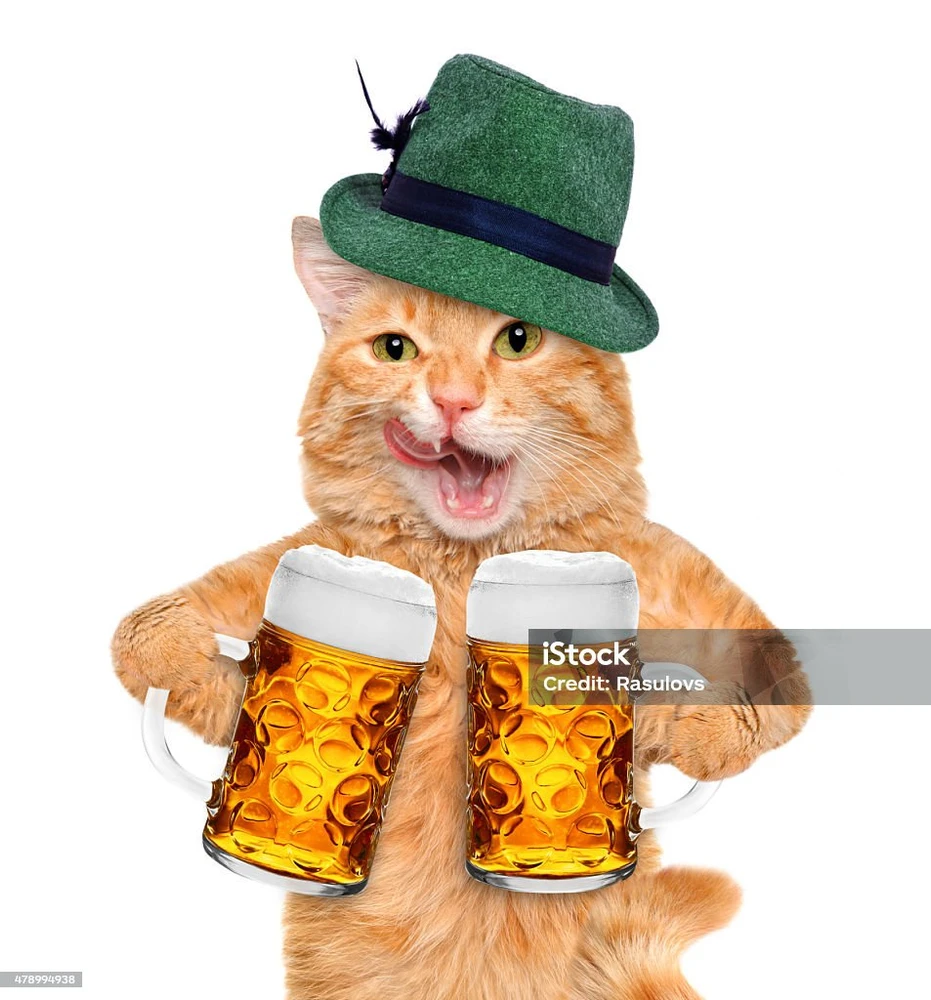 Imagen subida por Pablo