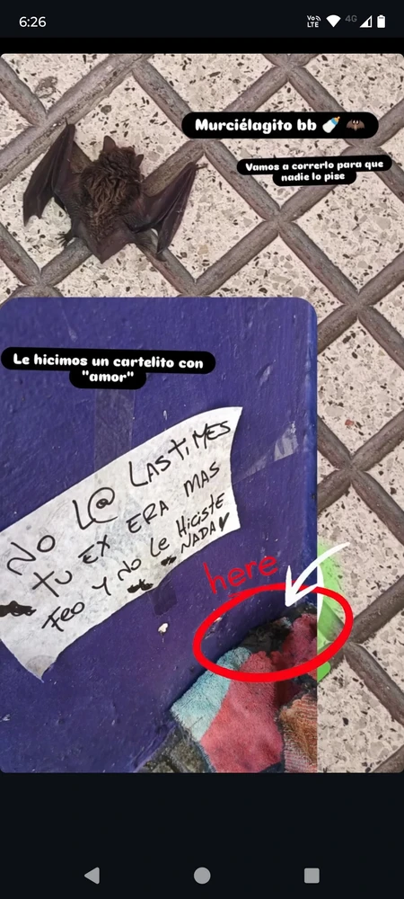 Imagen subida por Gabriela