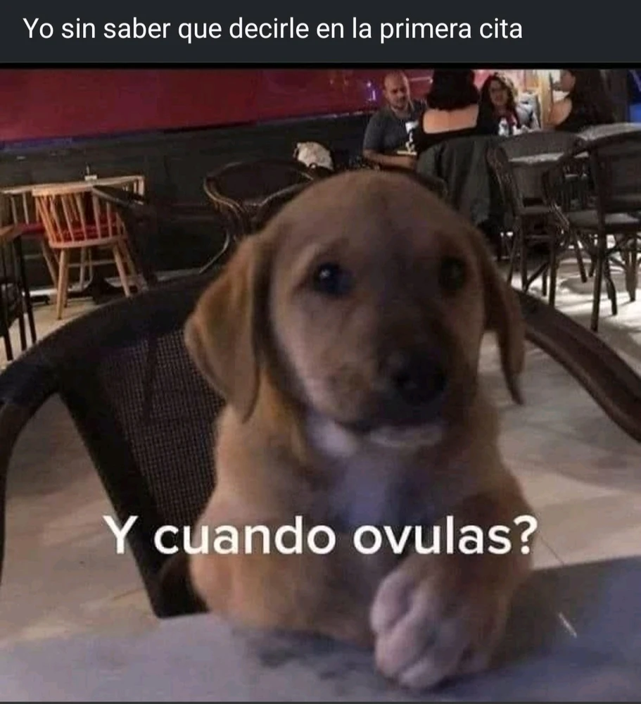 Imagen subida por Christian