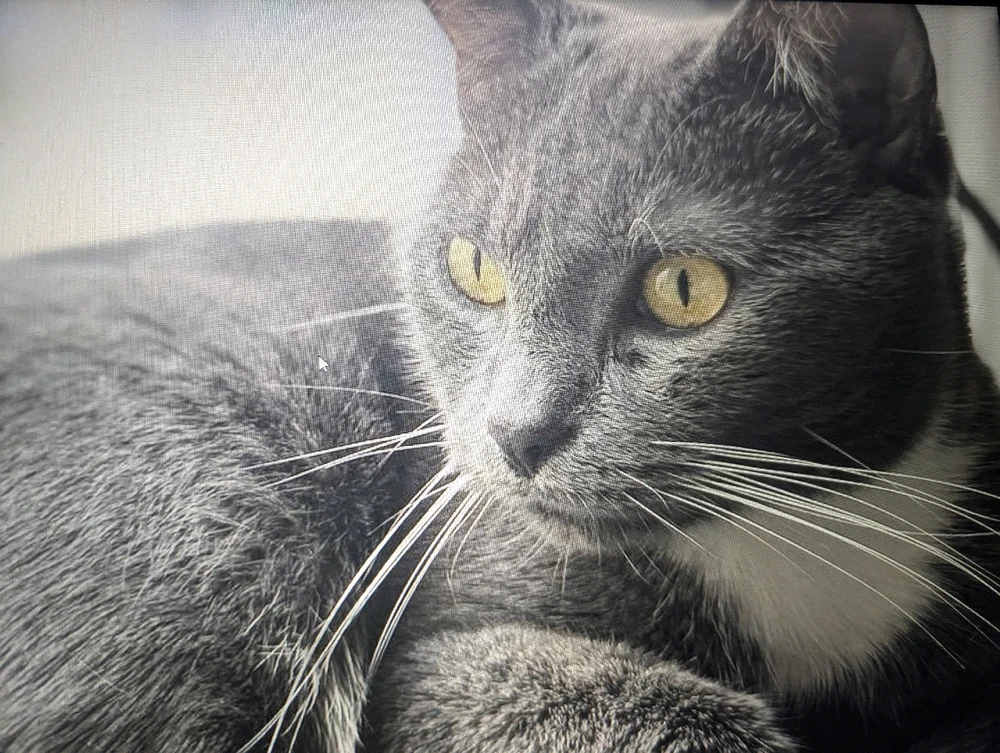 Image uploaded by Joes