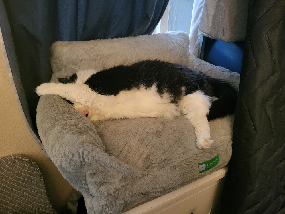 Image uploaded by Dylan