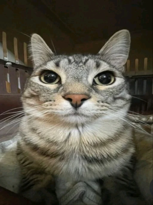 Image uploaded by Krishna