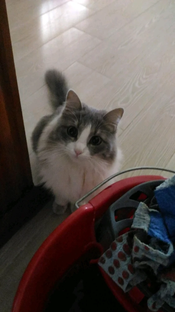 Image uploaded by Aquariusยฎ