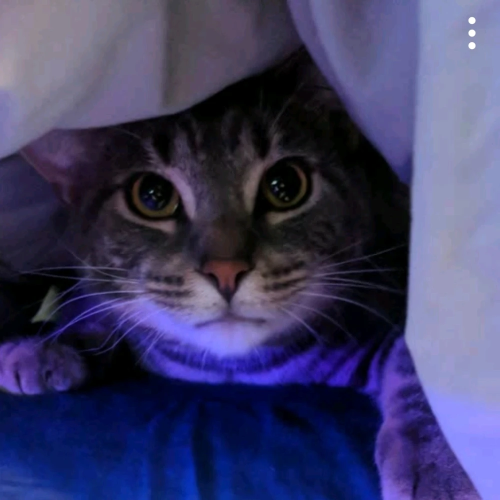 This is Ash, applying for the cover of Vogue