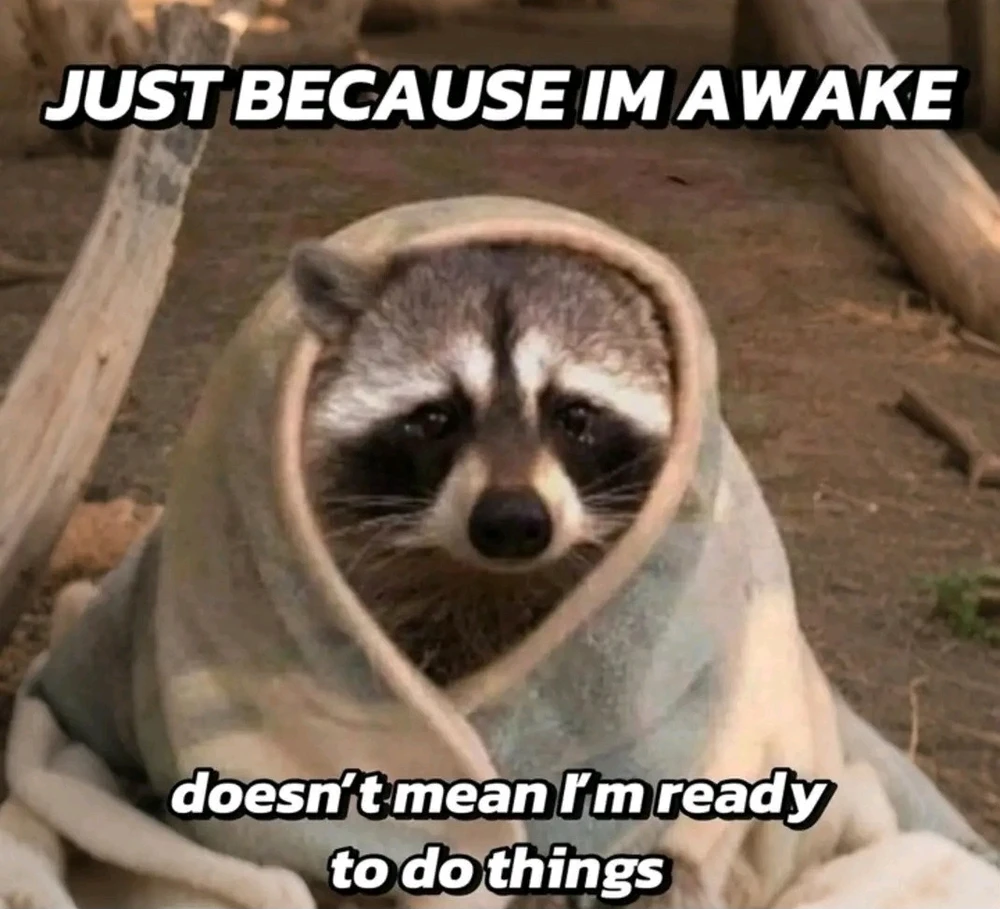 Ich bin zwar physisch ab 6 Uhr wach, aber die nötige Energie, um mit Leuten zu interagieren, habe ich eigentlich erst so ab 8 oder 9 Uhr 😂