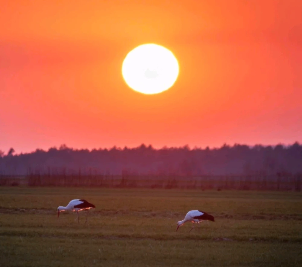 Image uploaded by Victoria