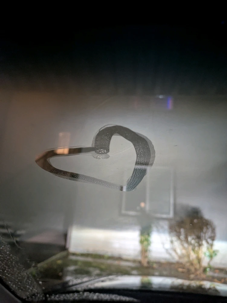 Image uploaded by Kea