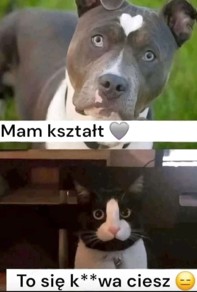 Zdjęcie dodane przez Rafi1708