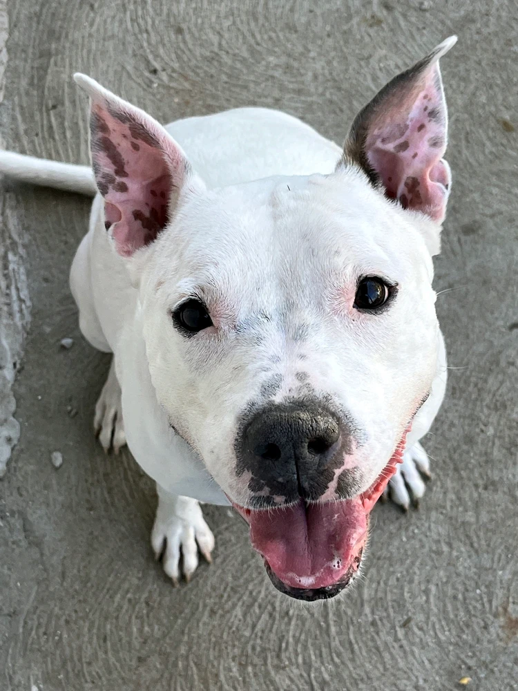 Image uploaded by Angel