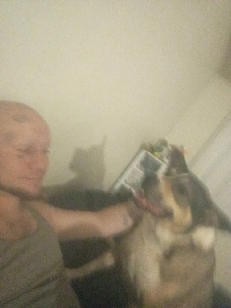 Gambar diunggah dening Lex