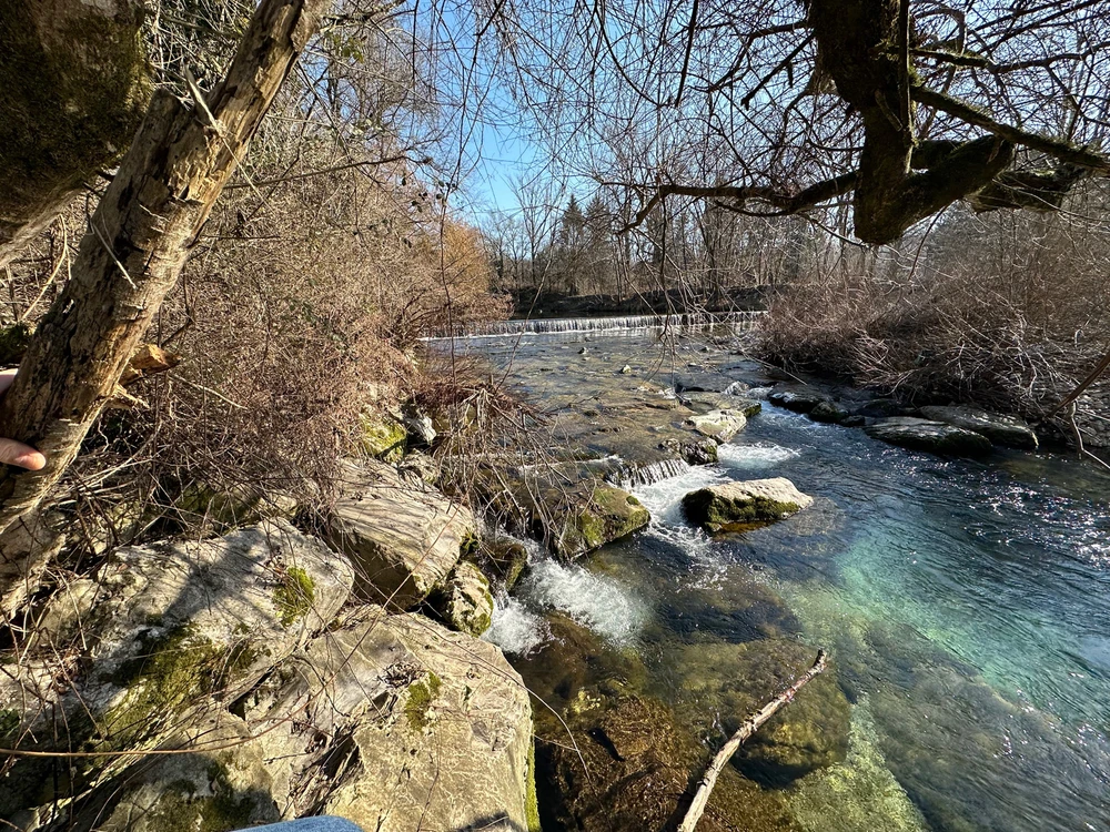 Image uploaded by Michele