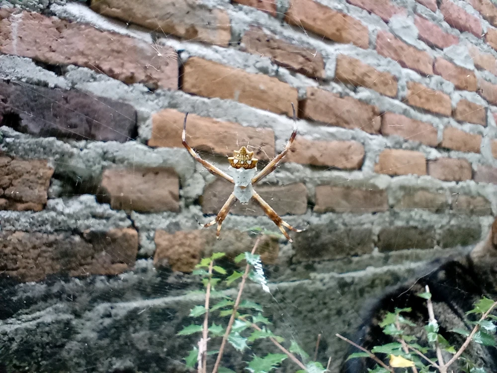 Image uploaded by Marco