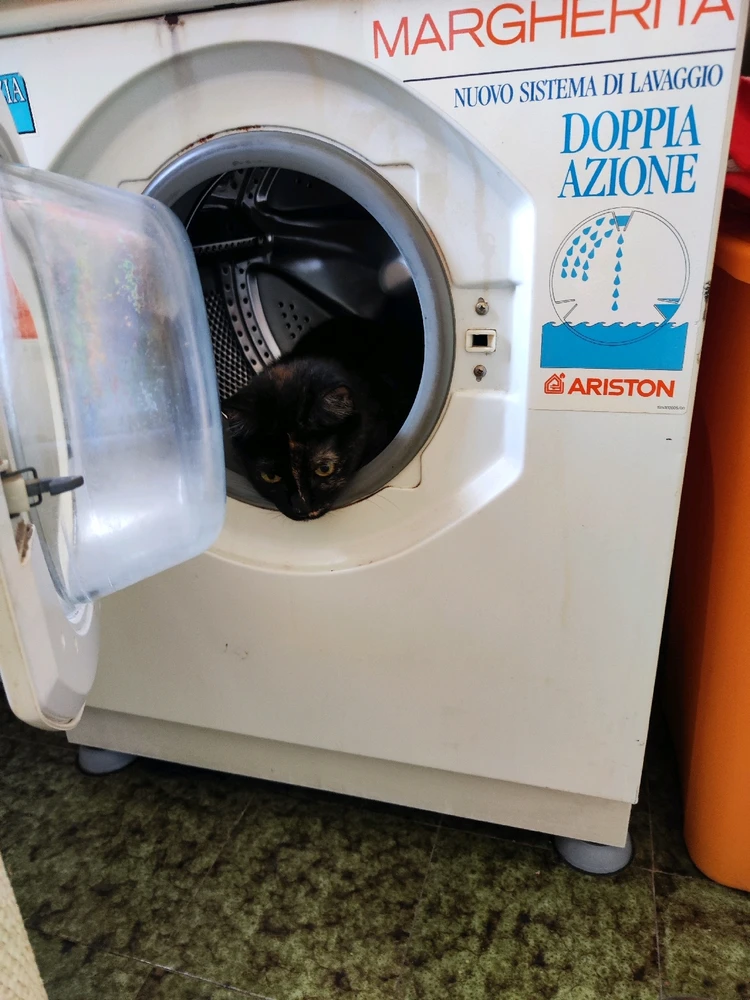 Immagine caricata da Adriano