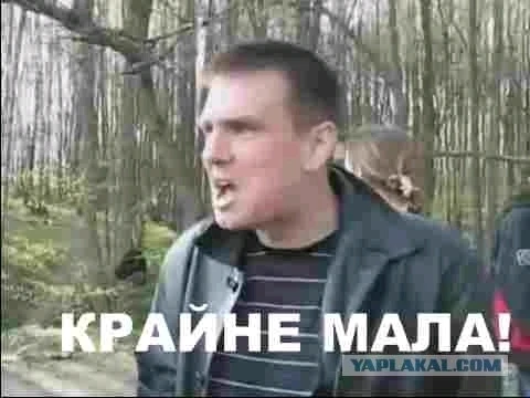 Фото загрузил Томас