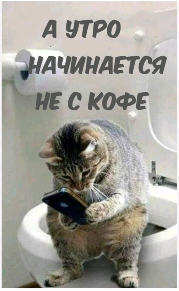 Фото загрузил Лилия