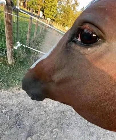 No offense taken. š
not every girl is like you then. Because some girls be like: