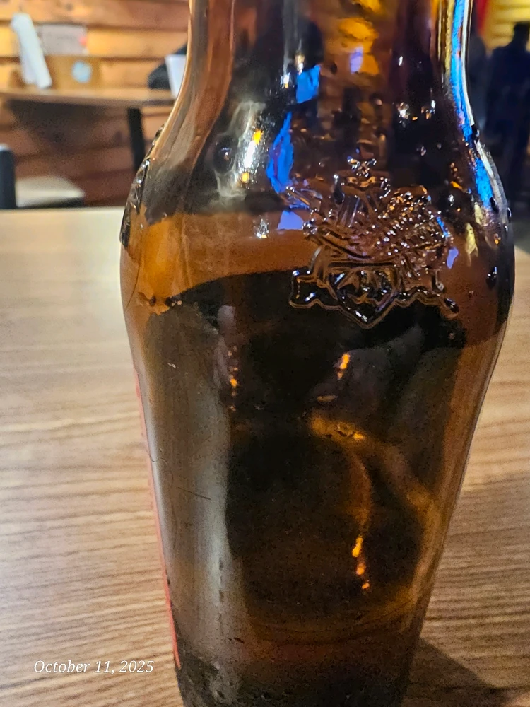 This is my emotional support budweiser