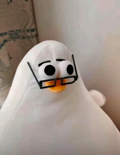 Image uploaded by Erfan