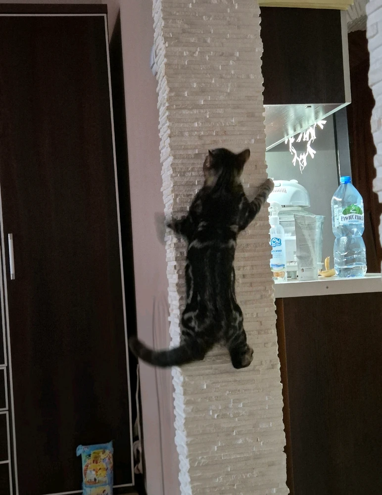 Image uploaded by Marta