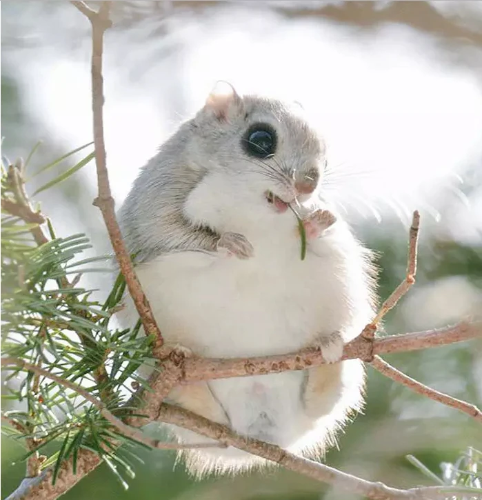 Image uploaded by Ban me from this disgusting app