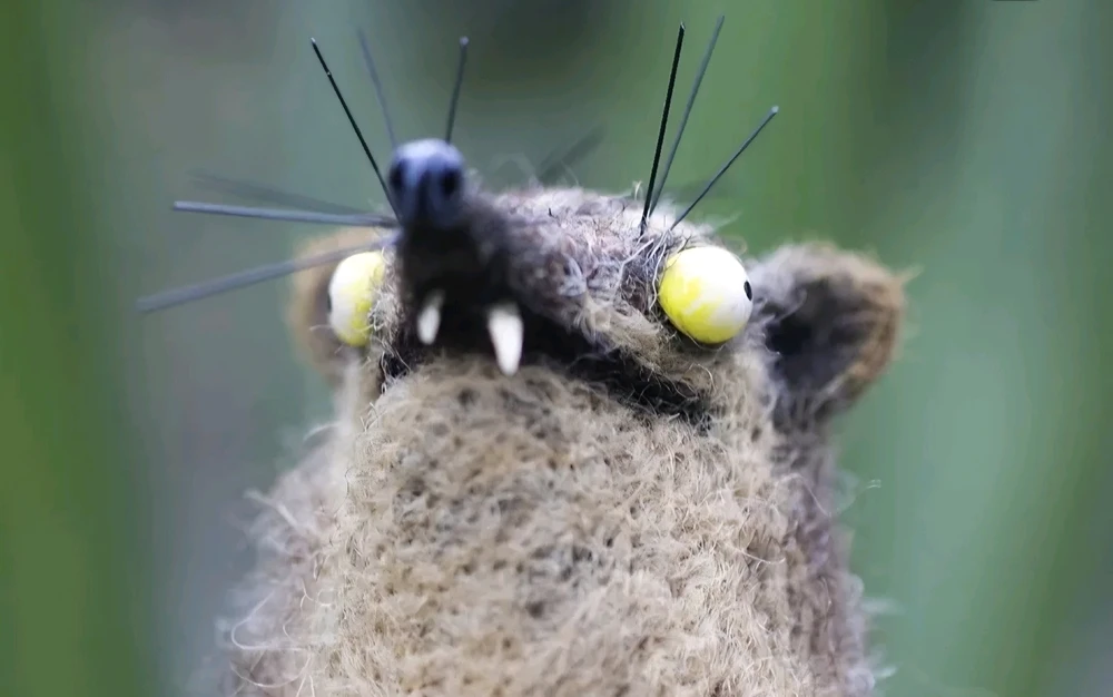 Image uploaded by Moses