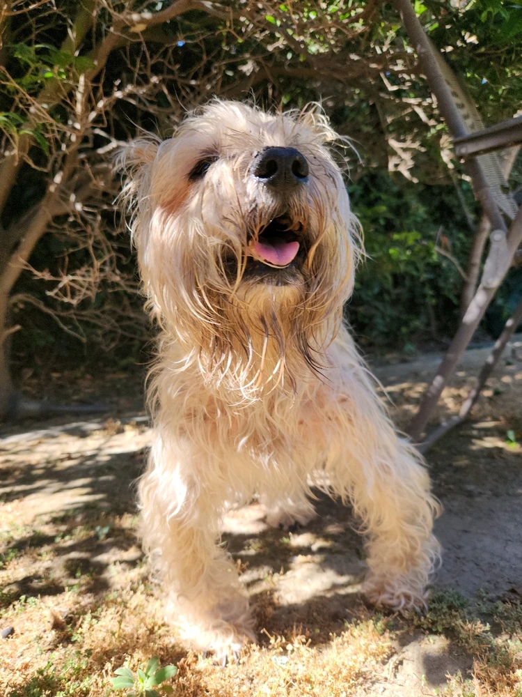 Image uploaded by Elle