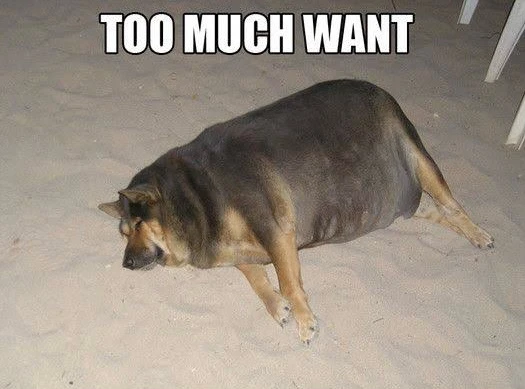 Zdjęcie dodane przez Bartłomiej