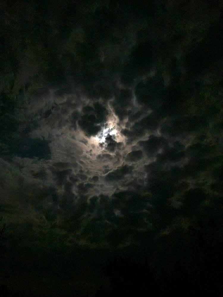 Zdjęcie dodane przez Kolmagonna