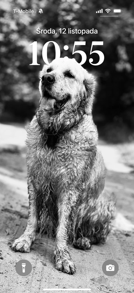 Zdjęcie dodane przez Robert