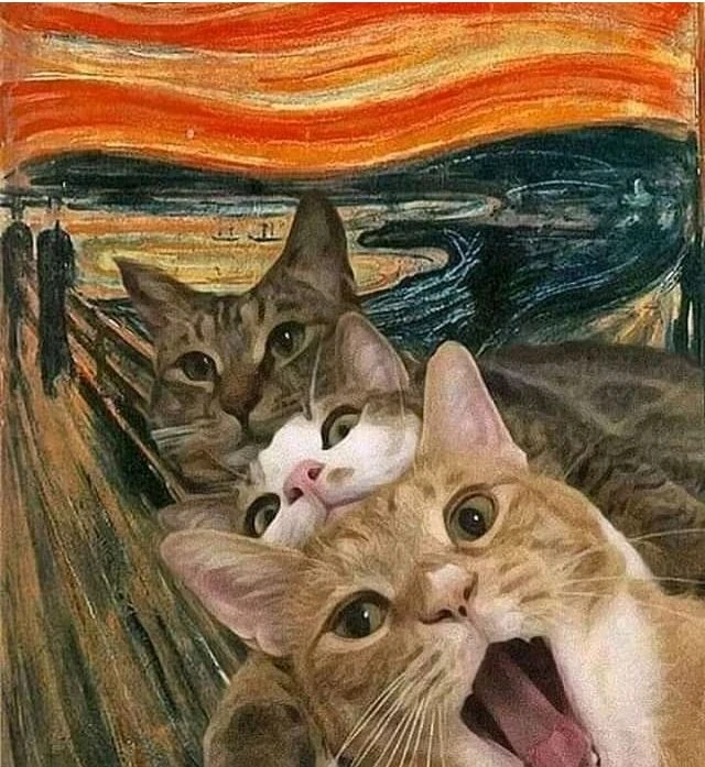 Zdjęcie dodane przez Krasny