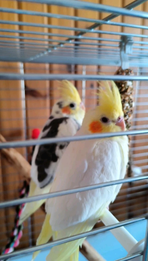 Zdjęcie dodane przez Przemek