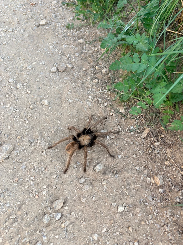 Image uploaded by Mike