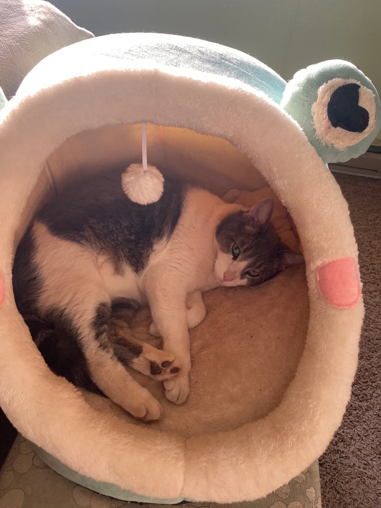 Image uploaded by Emily