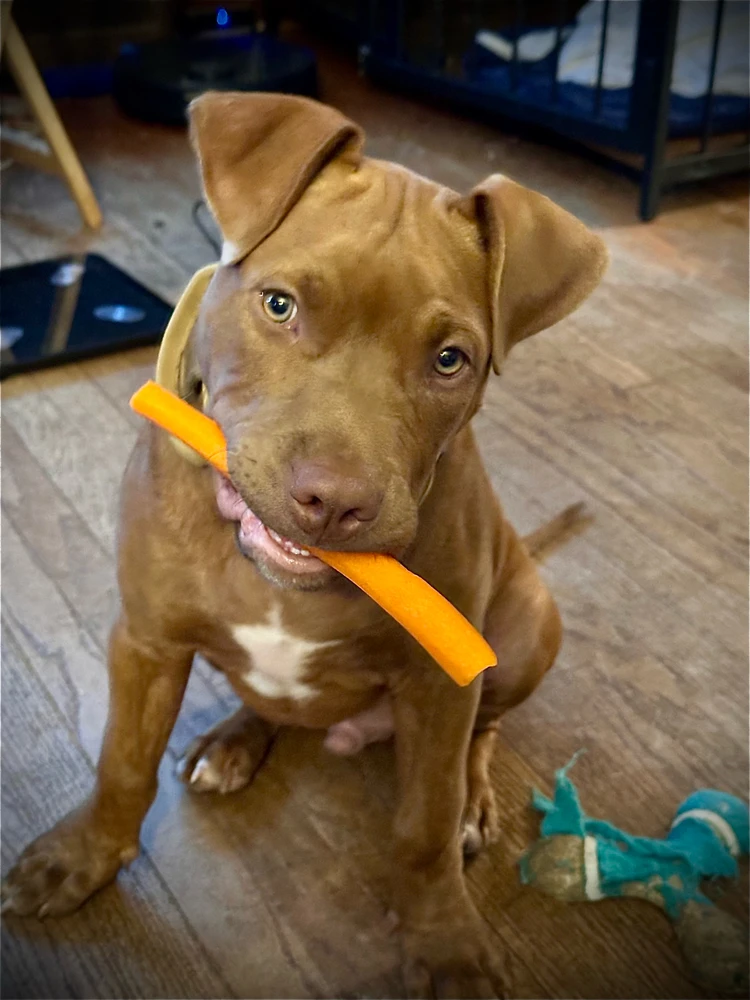 Image uploaded by Bobby