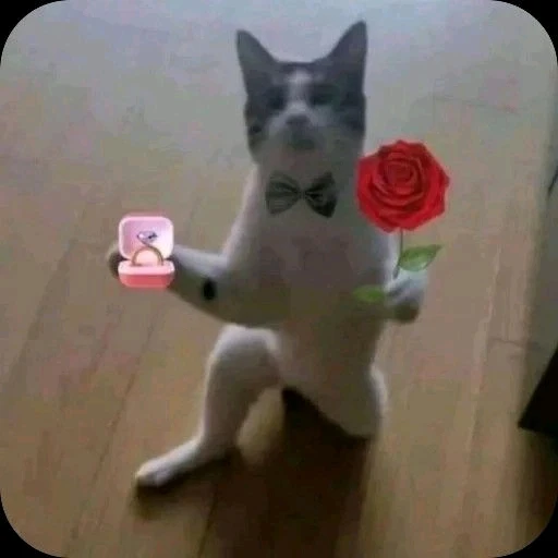 Gambar diunggah dening Jessica